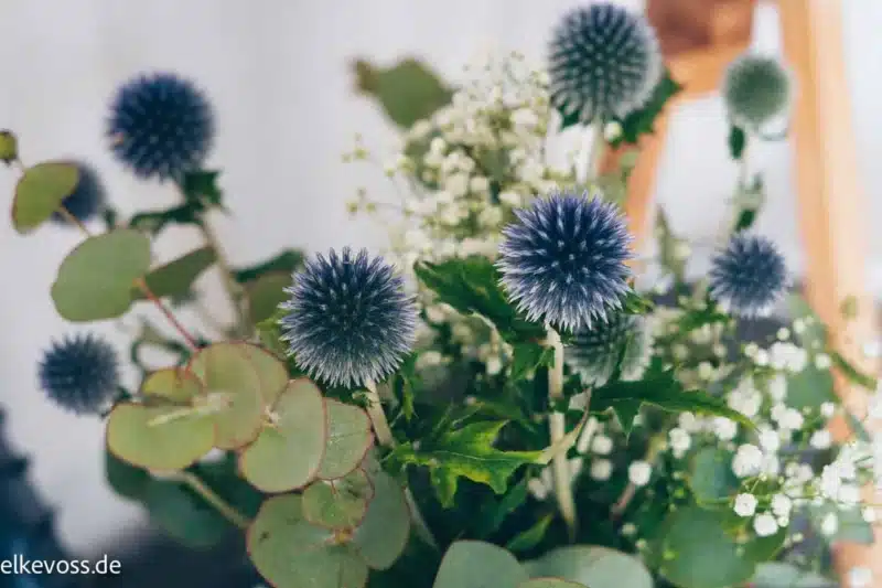 Friday-Flowerday mit etwas anderen Blumen