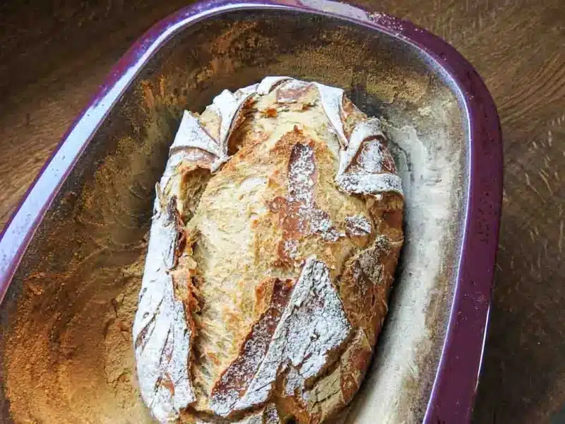 Backen | Mischbrot mit Brotkunst