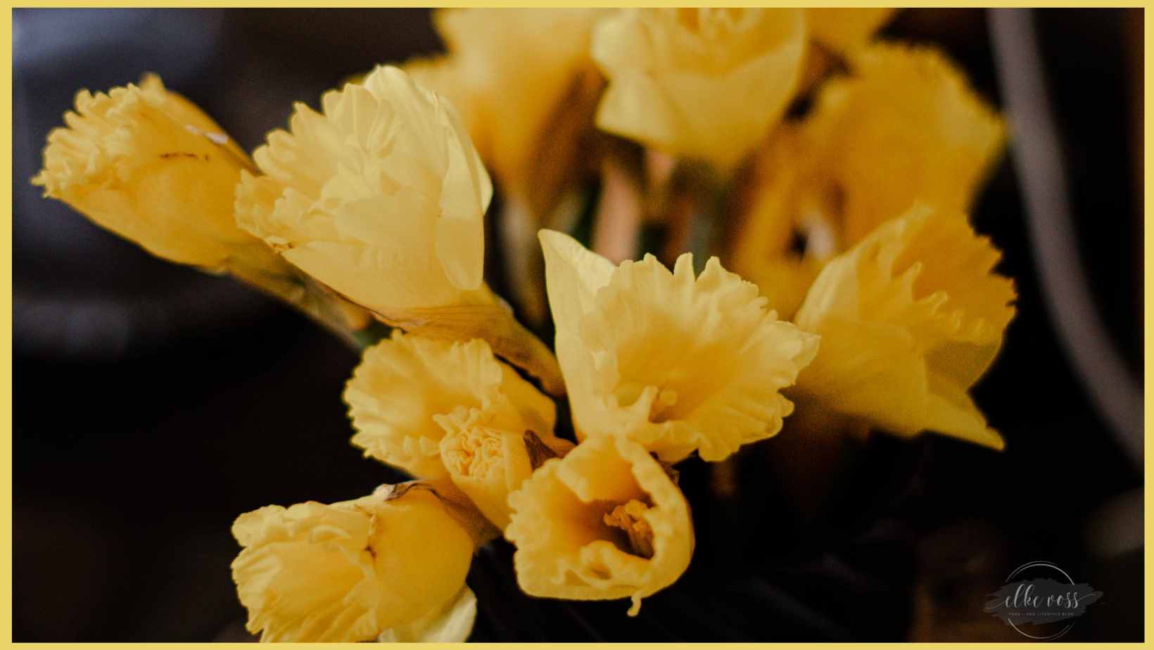 Friday-Flowerday-elkevoss.de