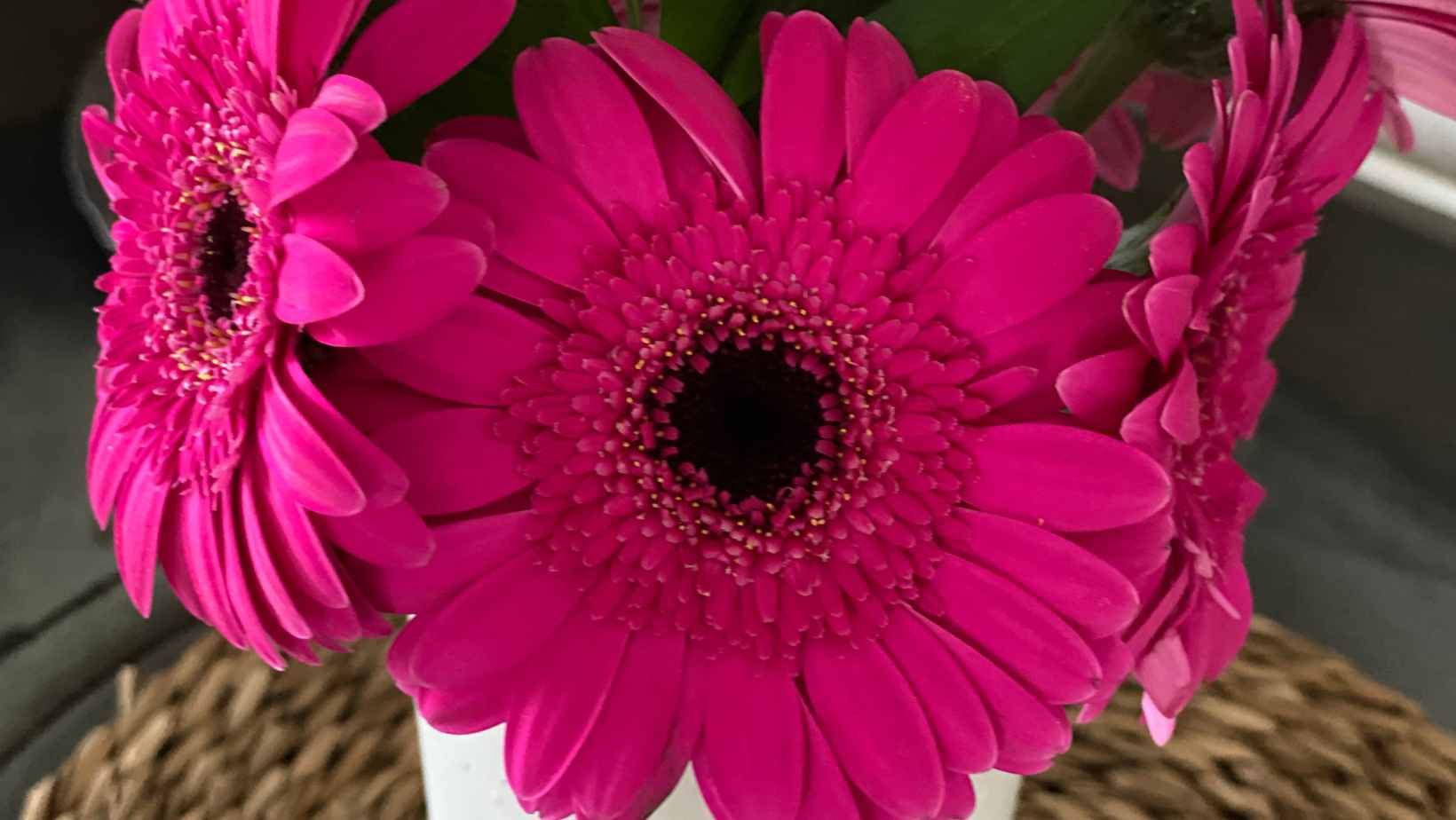 Friday-Flowerday-elkevoss.de
