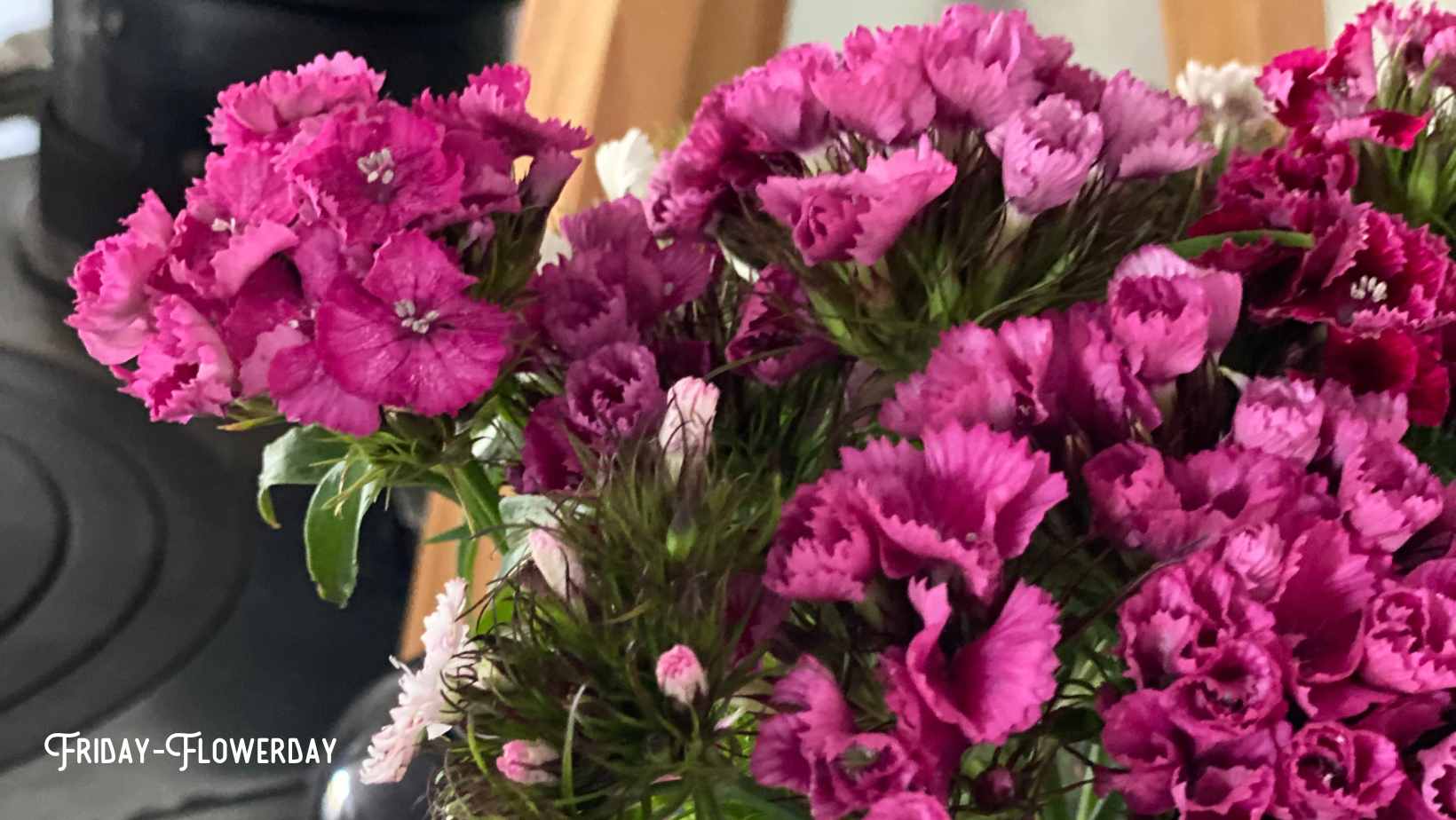 Friday-Flowerday-elke.works