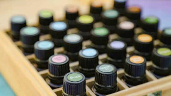 Doterra-einfachelke.de