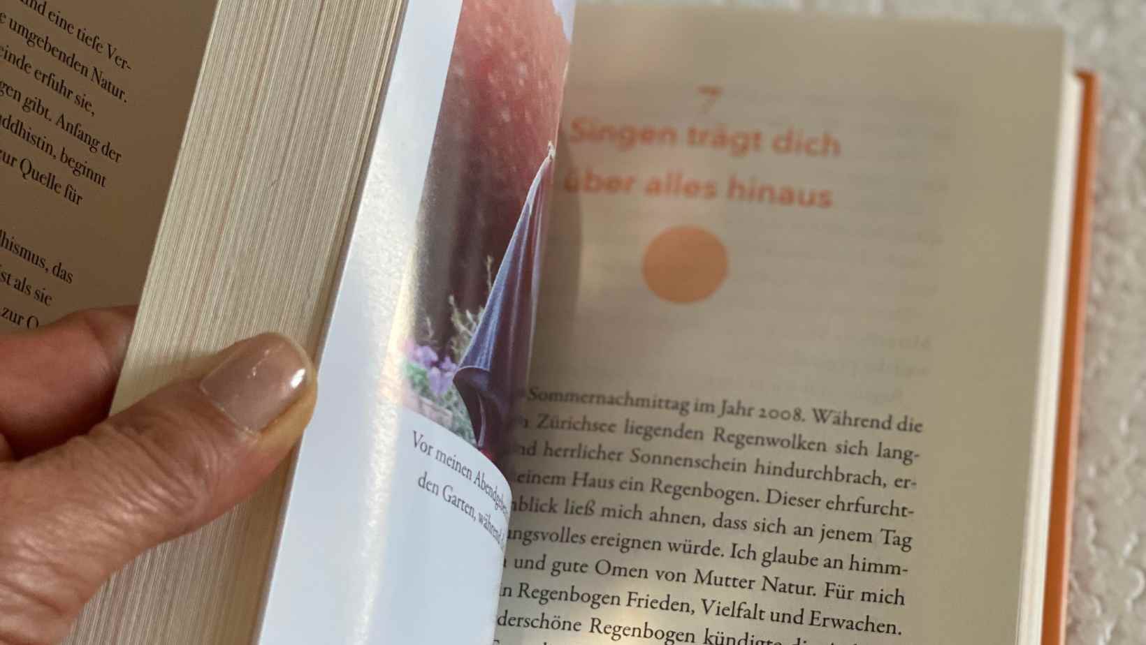 Tina Turner-elkevoss.de