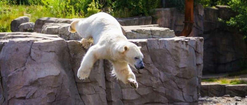 OnTour | Hannover Zoo