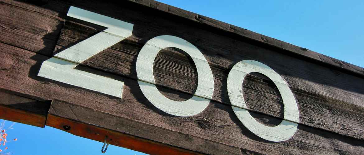 Zoo-einfachelke.de