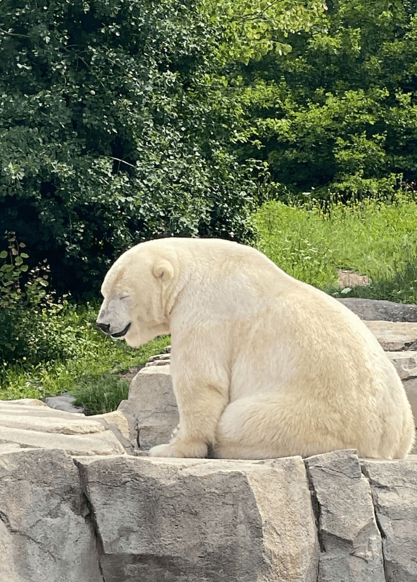 Zoo-einfachelke.de