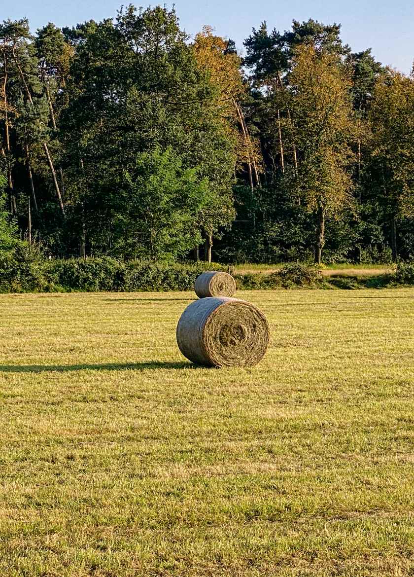 Natur-einfachelke.de