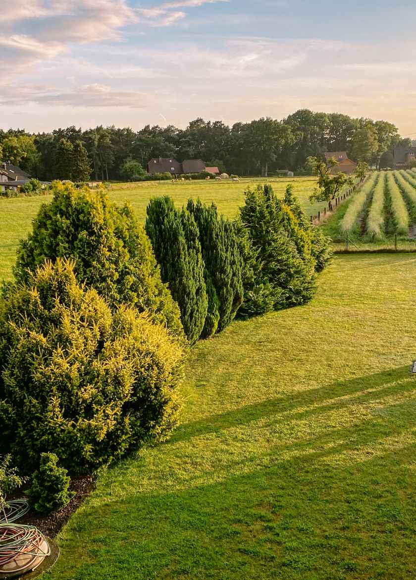 Natur-einfachelke.de