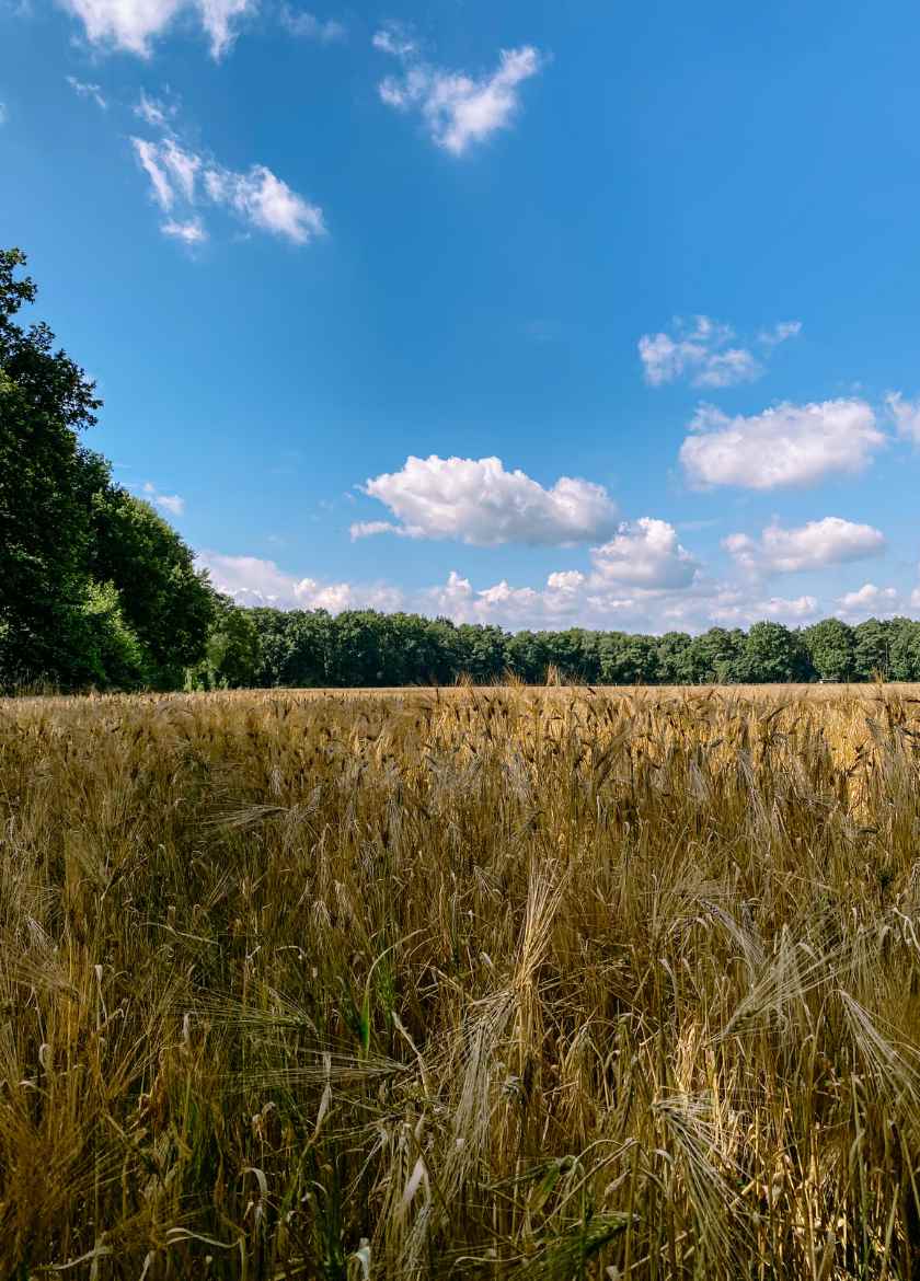 Natur-einfachelke.de