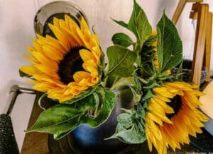 Friday-Flowerday | 060924 mit Sonnenblumen