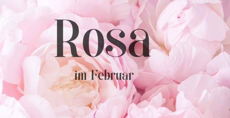 DIY | Niwibo sucht rosa