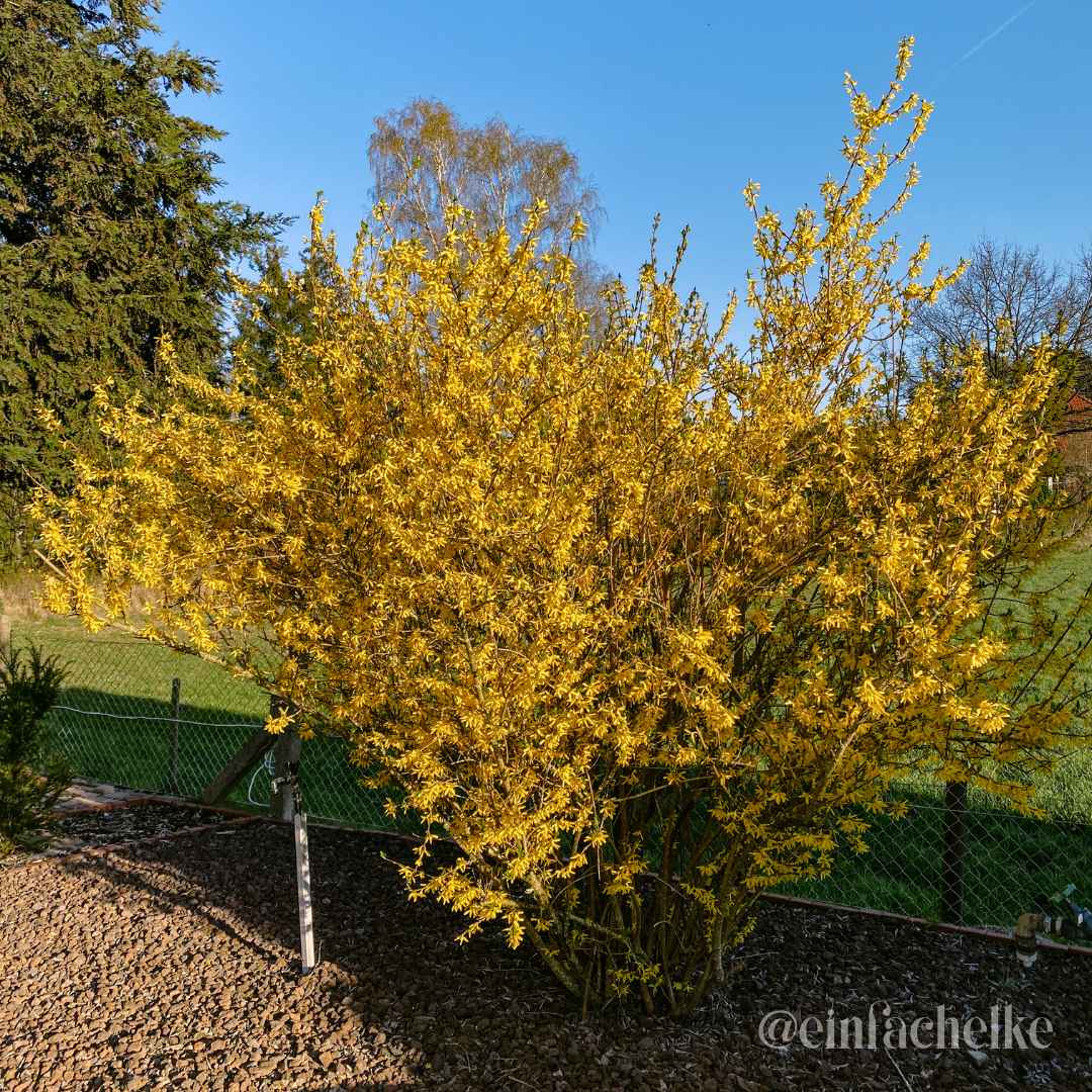 Wochenglück-einfachelke.de