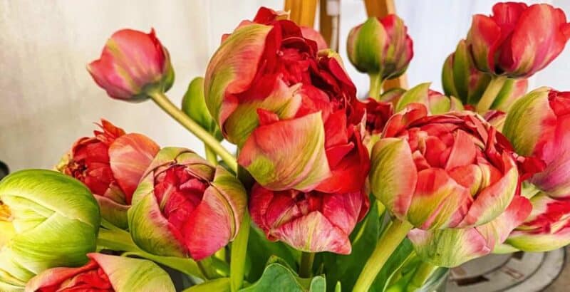 Friday-Flowerday und ich bin aus dem Flow raus