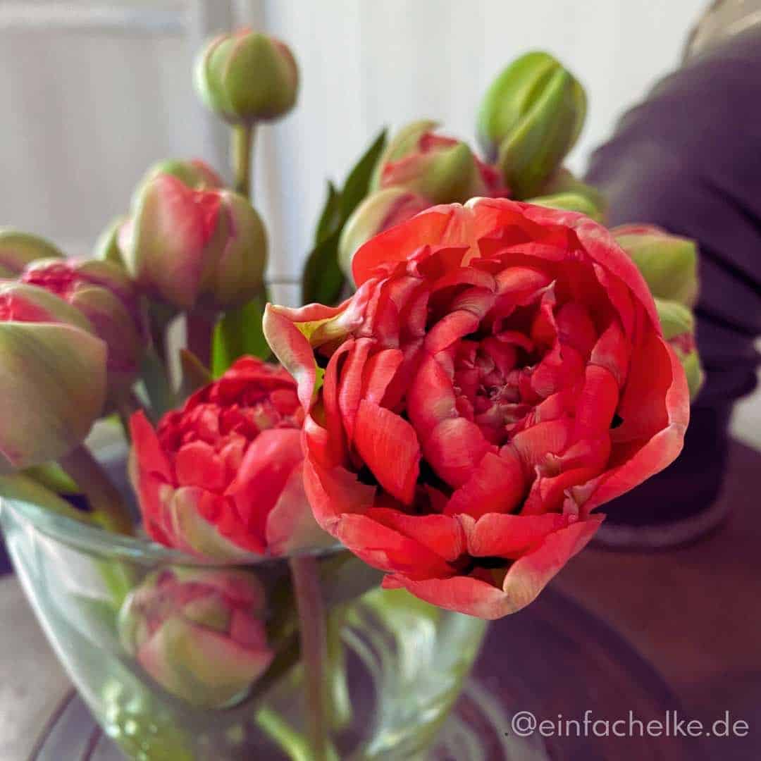 Friday-Flowerday-einfachelke.de