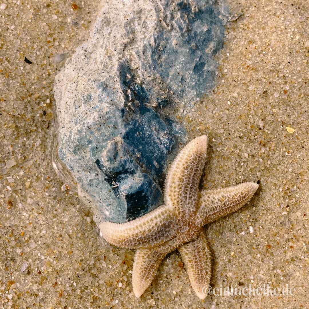 Sylt-einfachelke.de
