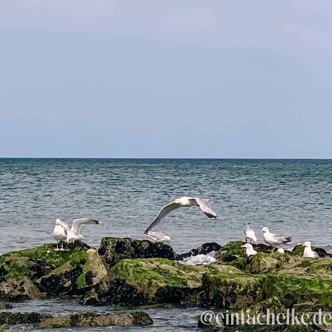 Sylt-einfachelke.de