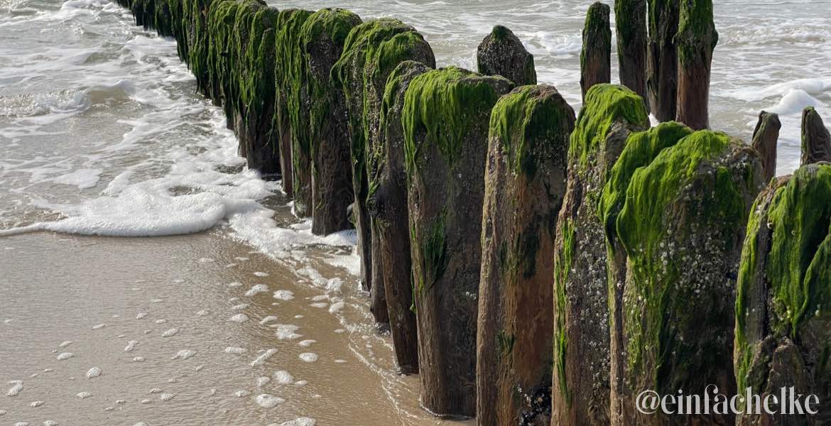 Sylt-einfachelke.de