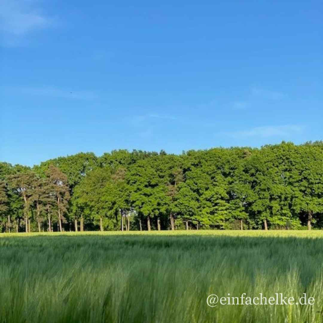 Wochenglück-einfachelke.de