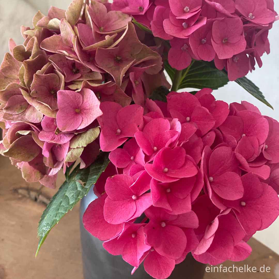 Friday Flowerday-einfachelke.de