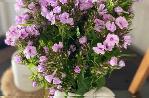 Friday-Flowerday-einfachelke.de