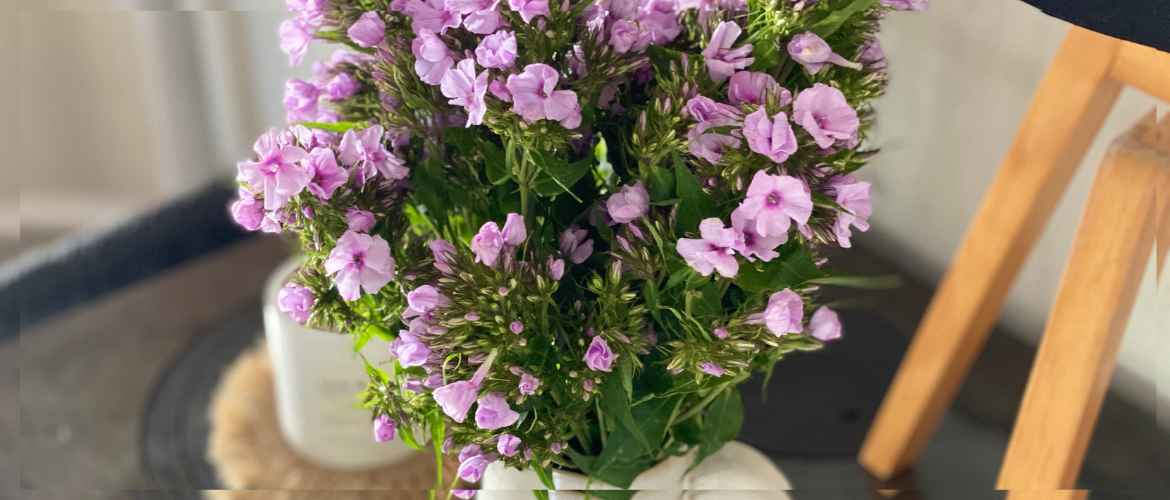 Happy Friday-Flowerday mit einem Gewinn