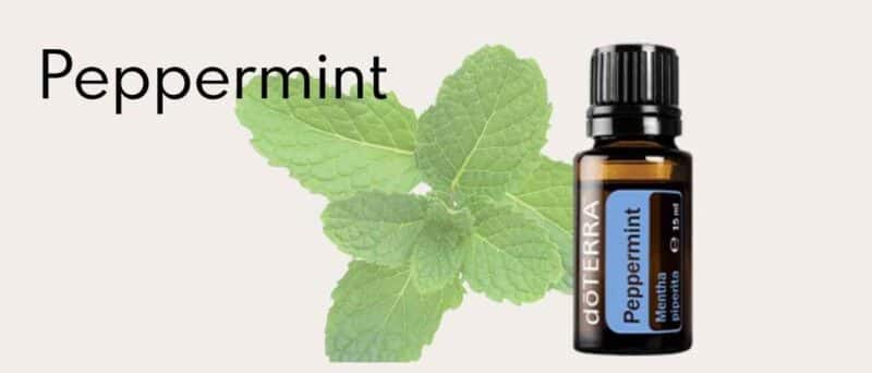 Doterra | Elke love Oils