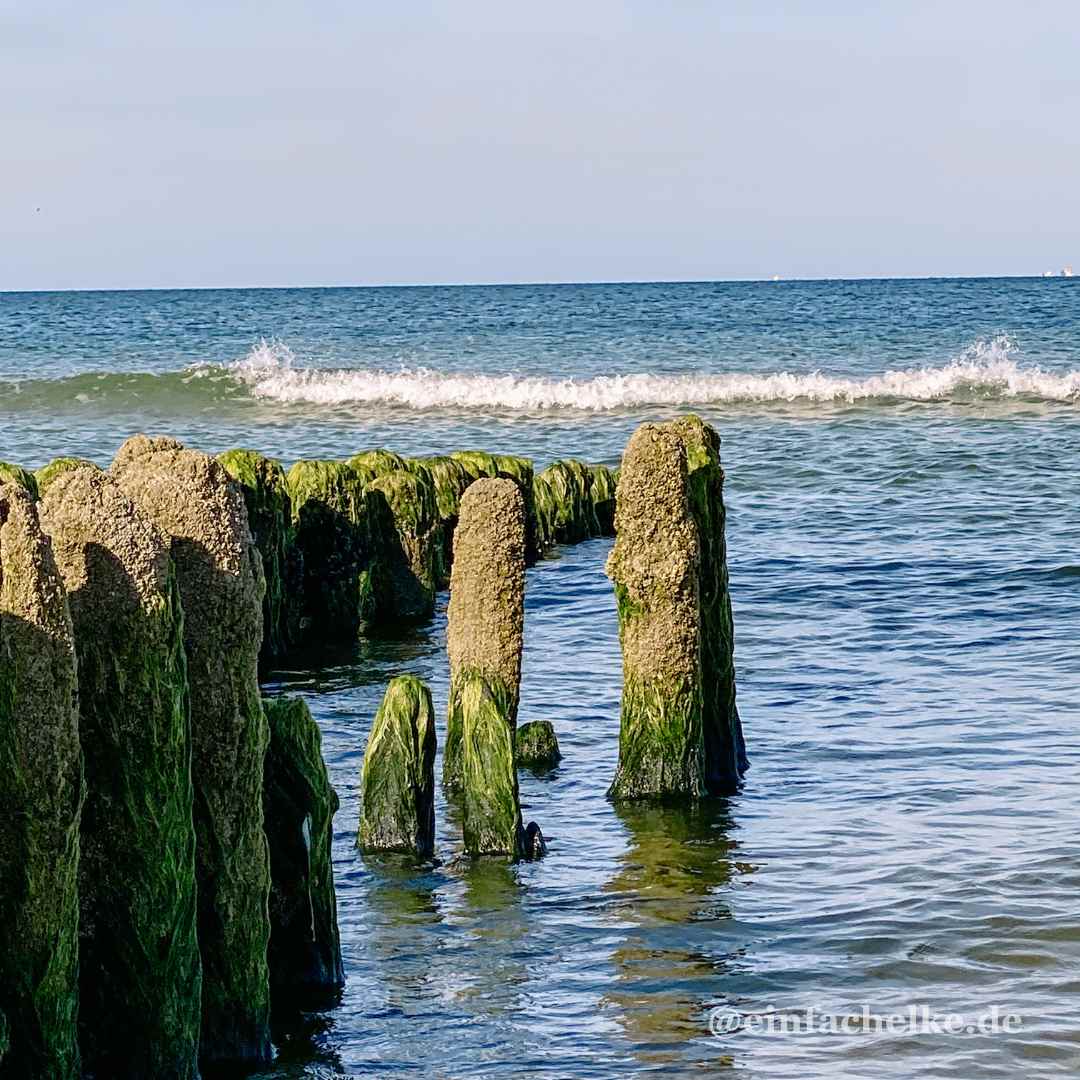 September 2025-einfachelke.de