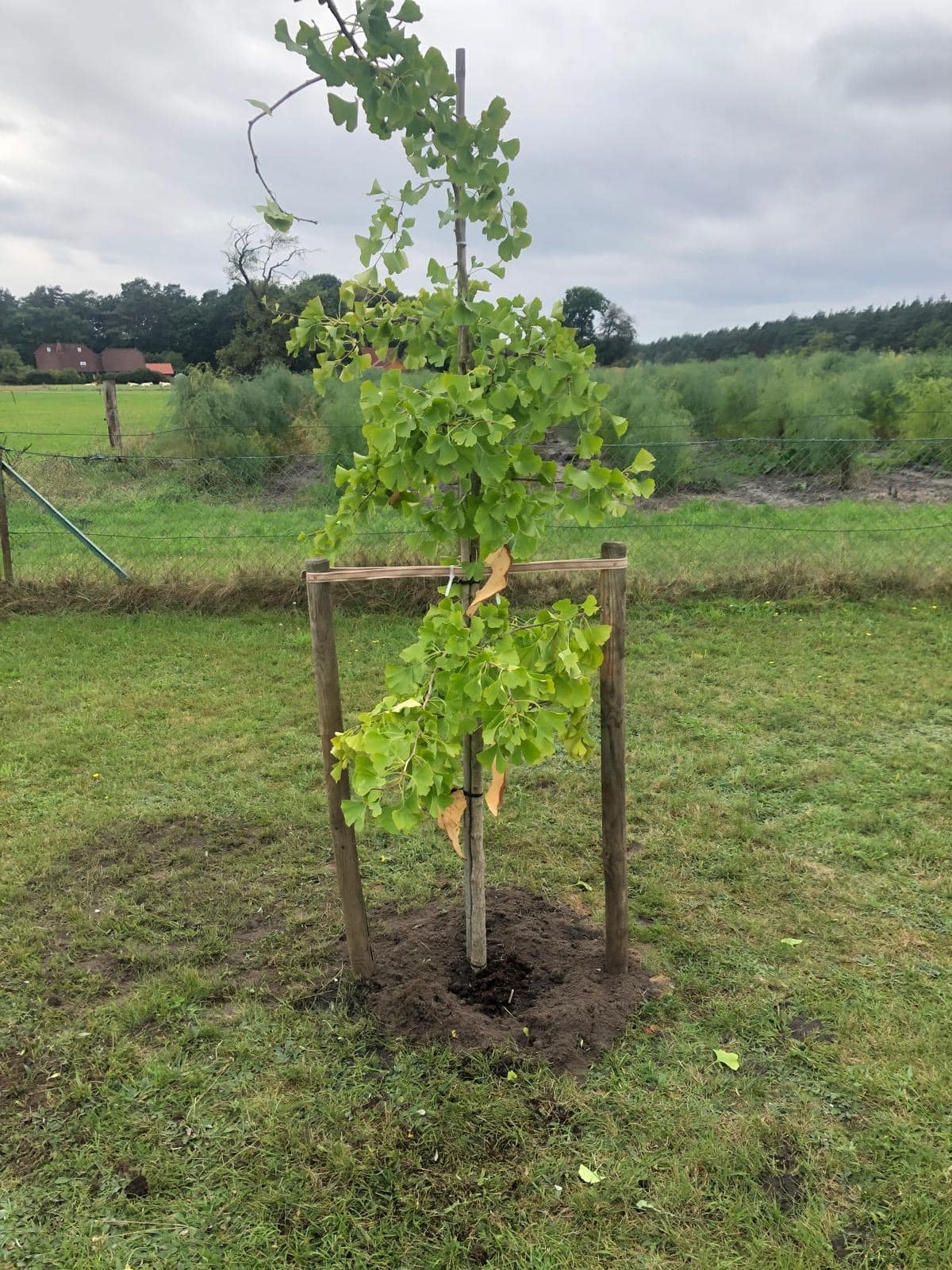 September 2025-einfachelke.de