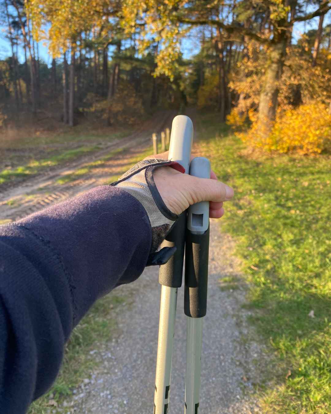 Nordic walken-einfachelke.de