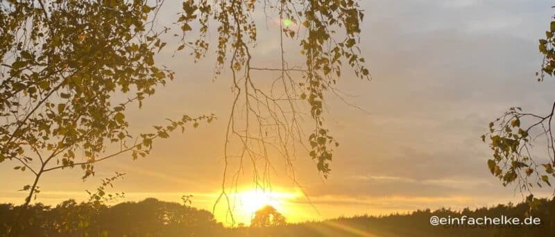 So war das nicht geplant