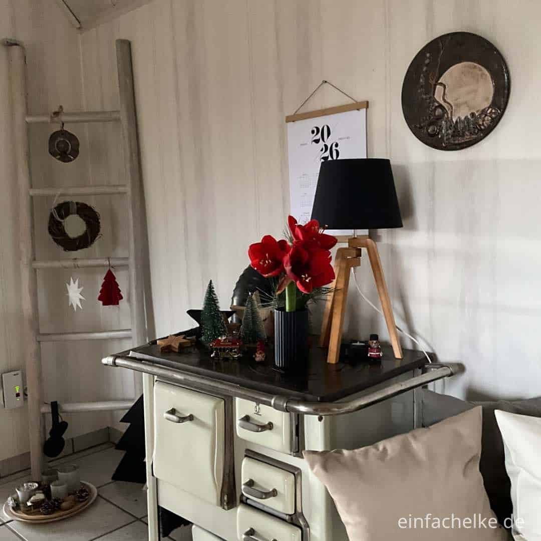 Amaryllis-einfachelke.de