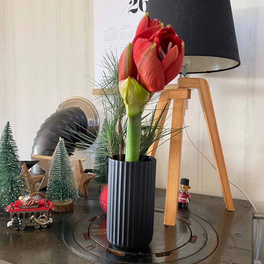 Happy Friday-einfachelke.de