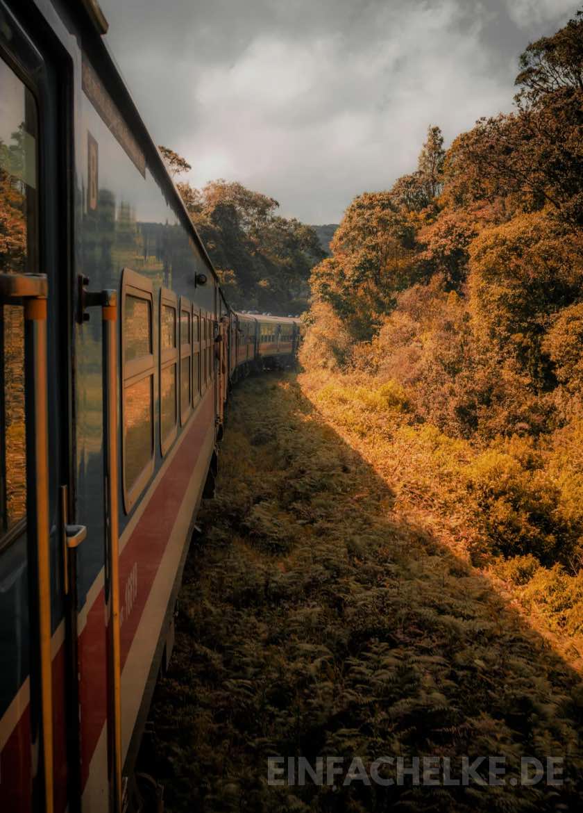 Reise durch den Advent