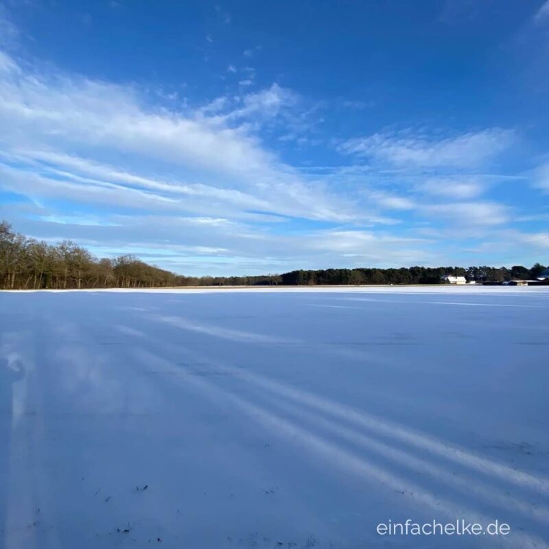 Niwibo sucht: Weiss im Januar