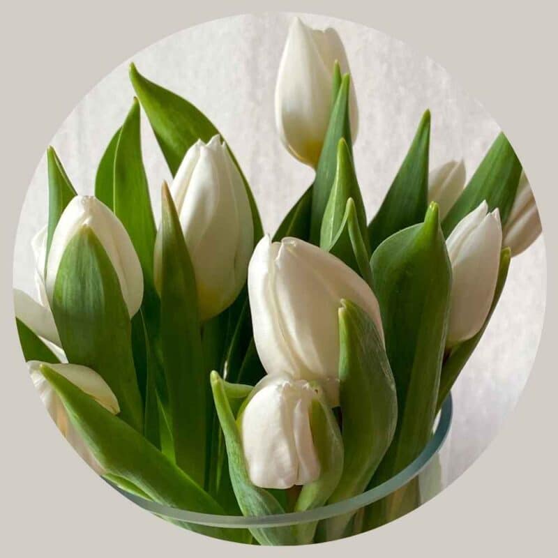 Friday-Flowerday …ups es ist schon Februar