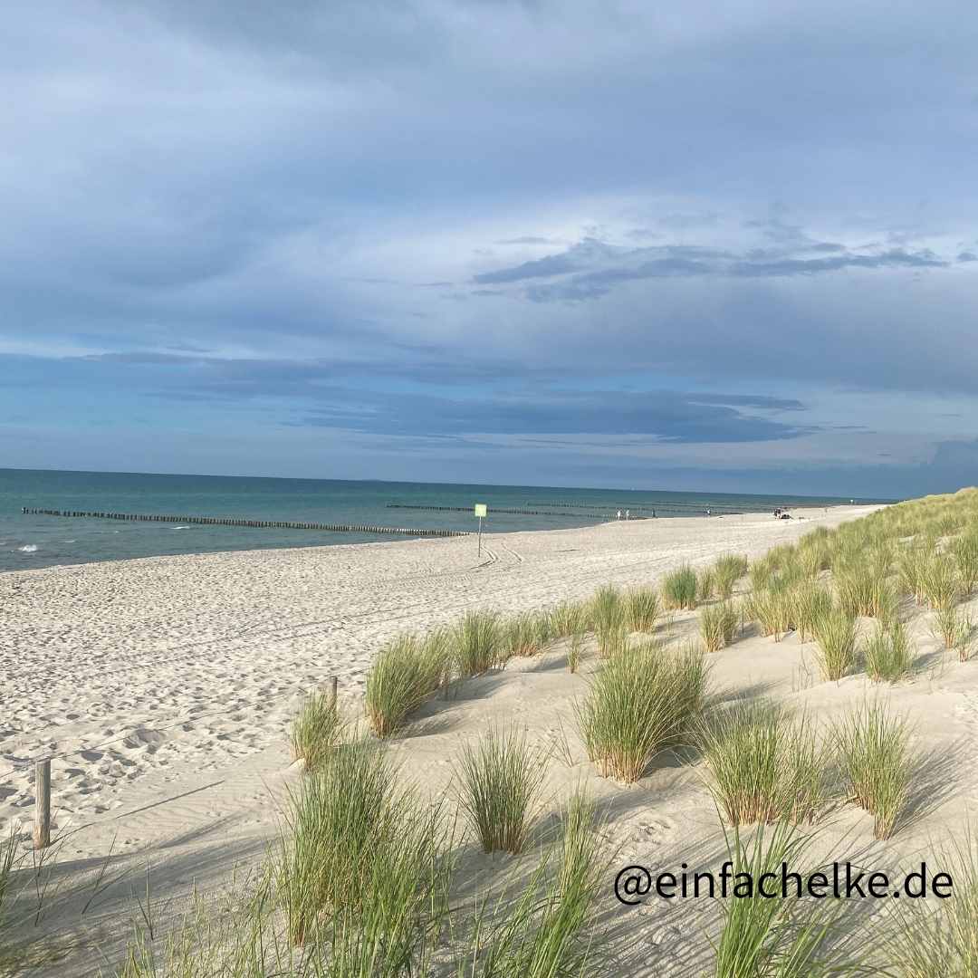 Zingst