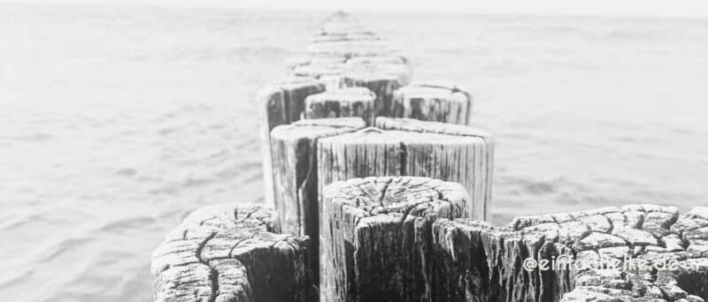 ONTOUR | Hallo Zingst
