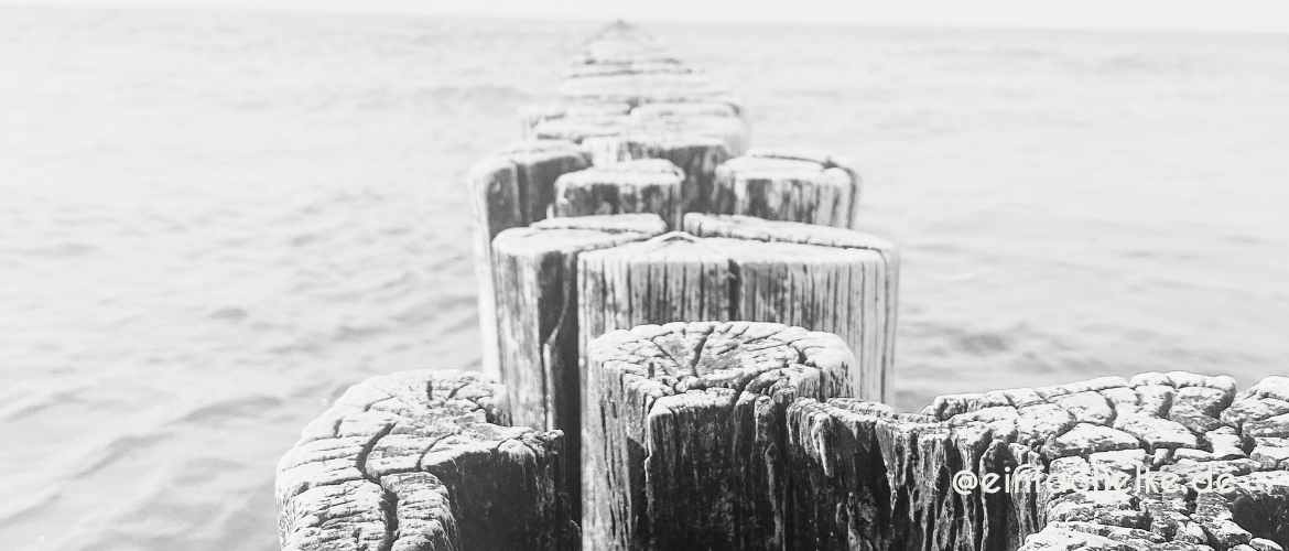 Zingst-einfachelke.de