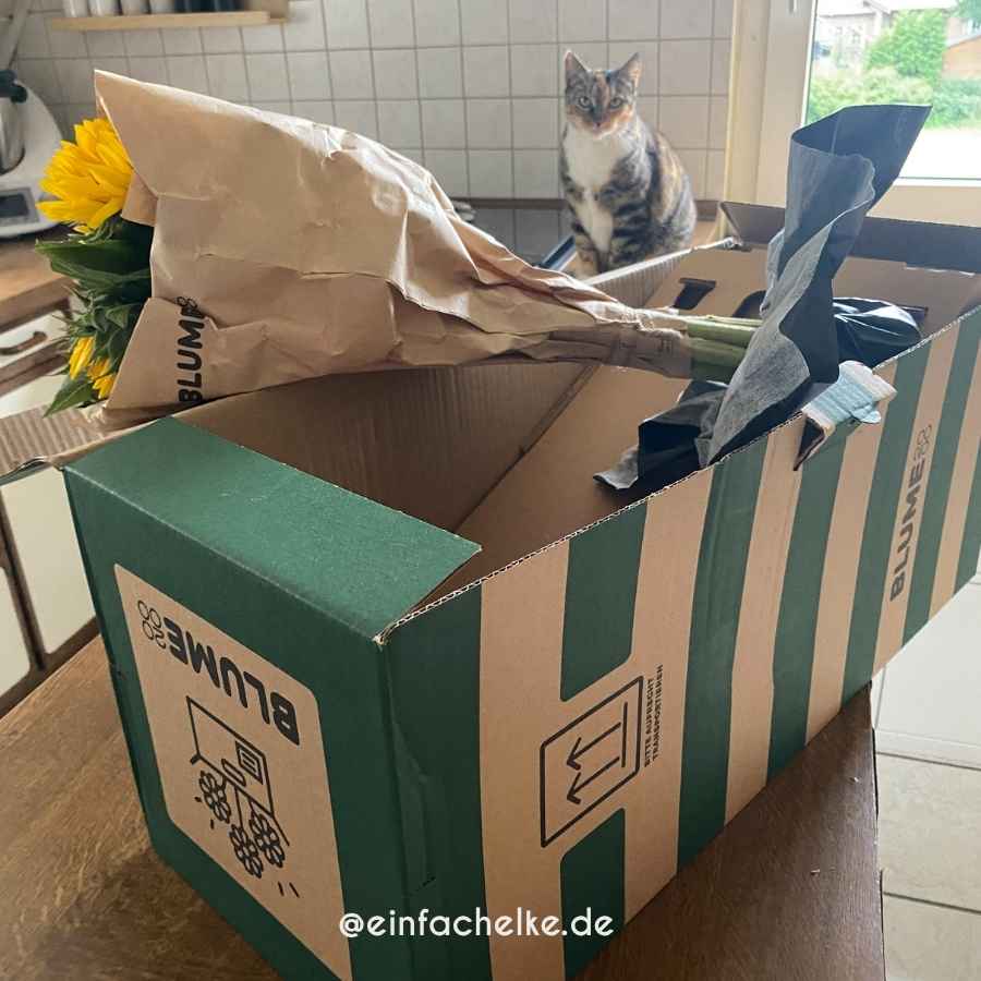 Sonnenblumen-Einfachelke