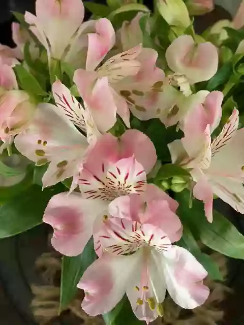 Friday-Flowerday