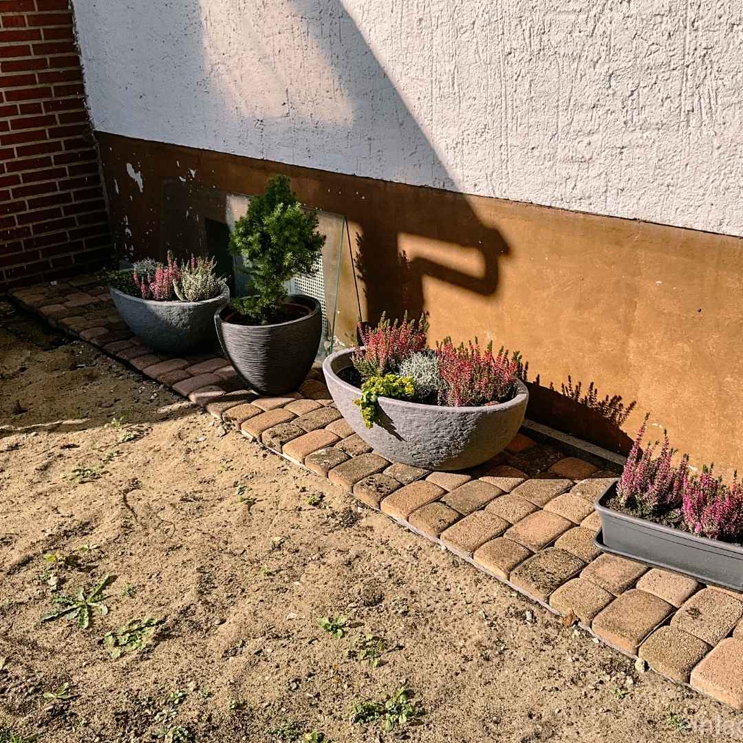 Garten Up Date