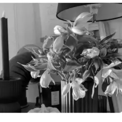 Friday-Flowerday