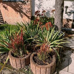 Garten Up Date