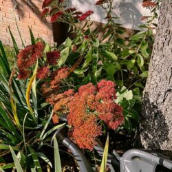 Garten Up Date